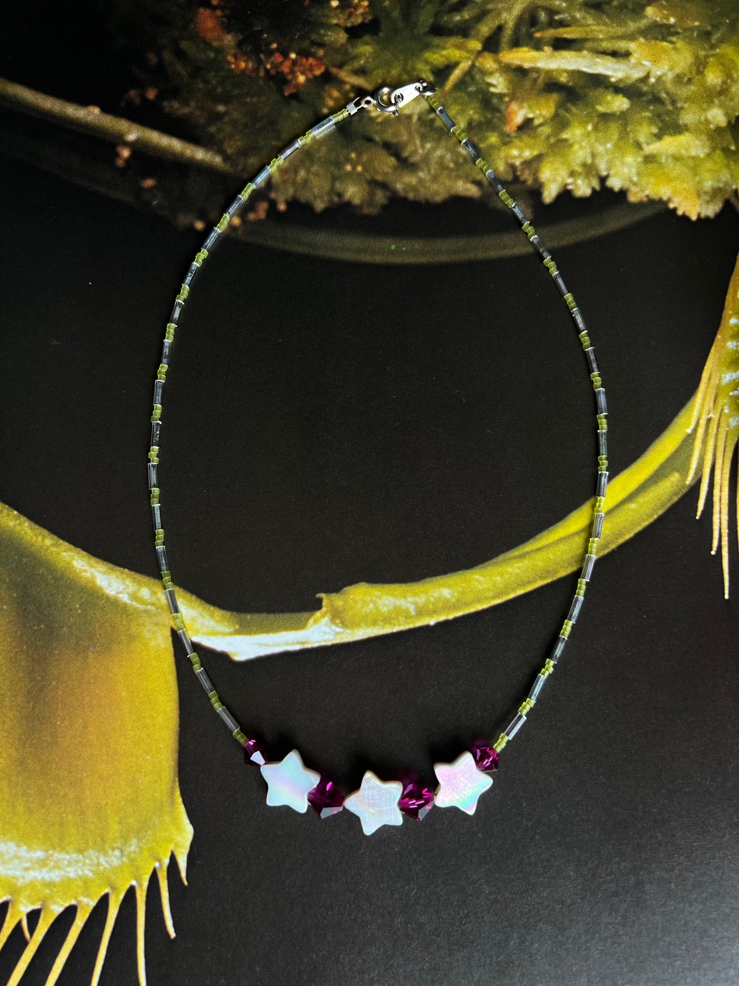 Triple Star in Watermelon