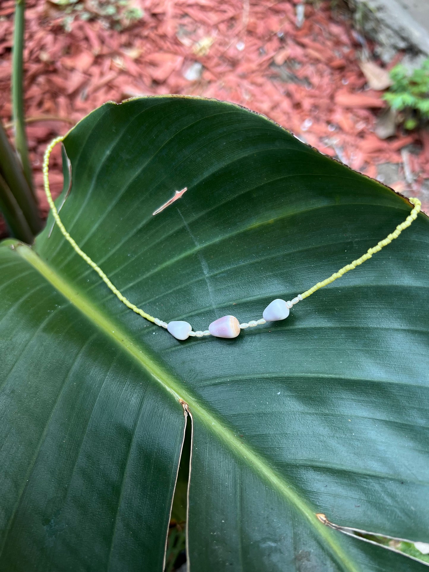 Triple Mini Pūpū ʻalā in Avocado and Pearl