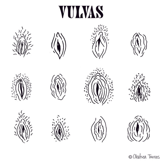 Vulva Print